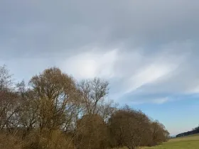 Prodej pozemku, Chvalšiny, 21761 m2