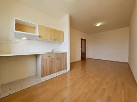 Pronájem bytu 1+kk, Brno, Svitavské nábřeží, 24 m2