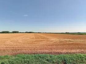 Prodej pole, Oplocany, 4033 m2