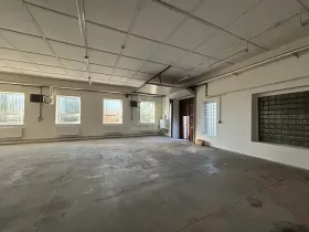 Pronájem skladu, Břasy, 163 m2