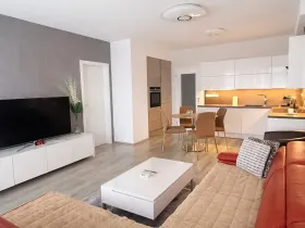 Prodej bytu 2+kk, Praha - Vysočany, Modrého, 53 m2