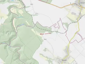 Dražba lesa, Březník, 234 m2