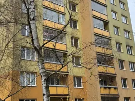 Prodej bytu 4+1, Havířov, Karvinská, 76 m2