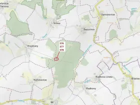 Dražba lesa, Hradčany-Kobeřice, 1703 m2