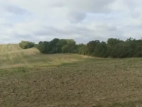 Prodej pozemku pro bydlení, Bohdalice-Pavlovice, 3936 m2