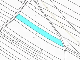 Dražba pole, Golčův Jeníkov, 1930 m2