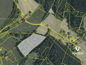 Prodej podílu lesa, Cotkytle, 1746 m2