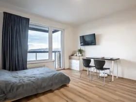Pronájem bytu 1+kk, Praha - Vysočany, Kolbenova, 30 m2