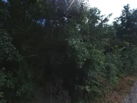 Pronájem zahrady, Dolní Kounice, 2459 m2