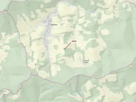 Dražba lesa, Zděchov, 2428 m2