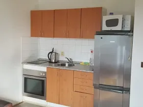 Pronájem bytu 1+kk, Brno, Běloruská, 30 m2