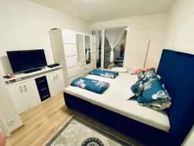 Prodej bytu 2+1, Brno, U Červeného mlýna, 56 m2