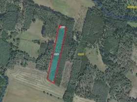 Prodej lesa, Sokoleč, 9084 m2