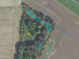 Prodej lesa, Běrunice, 1361 m2