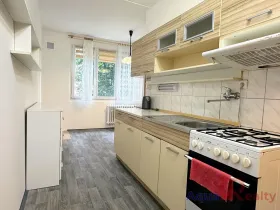 Pronájem bytu 2+1, Sokolov, Mánesova, 60 m2