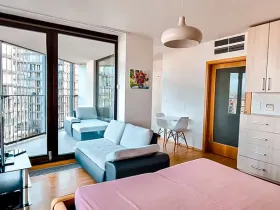 Pronájem bytu 1+kk, Praha - Žižkov, Malešická, 38 m2