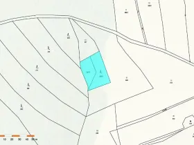 Prodej lesa, Vyskytná nad Jihlavou, 1283 m2