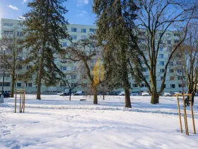 Prodej bytu 3+kk, Jičín, Pod lipami, 62 m2
