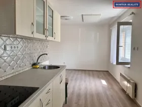 Pronájem bytu 1+kk, Bučovice, Revoluční, 30 m2