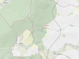 Dražba lesa, Nová Hradečná, 6275 m2