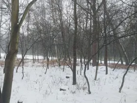 Prodej lesa, Pardubice, 1407 m2