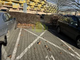 Pronájem garážového stání, Olomouc, Okružní, 12 m2