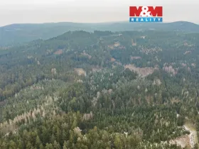 Prodej lesa, Hůrky, 6294 m2
