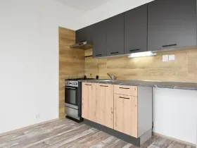 Pronájem bytu 1+1, Chomutov, Dřínovská, 35 m2