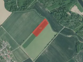 Prodej pole, Střížovice, 37555 m2