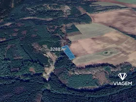 Prodej lesa, Konojedy, 3288 m2