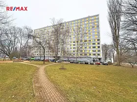 Pronájem bytu 1+kk, Pardubice, Družby, 30 m2