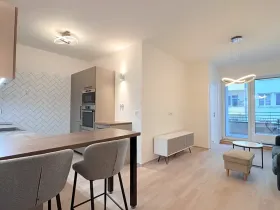 Pronájem bytu 2+kk, Brno, Hybešova, 53 m2