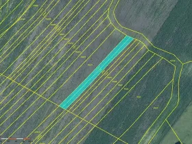 Prodej pole, Moravská Nová Ves, 952 m2