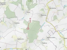 Dražba lesa, Hradčany-Kobeřice, 3483 m2