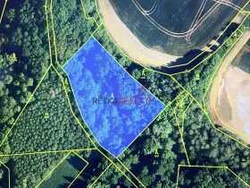 Prodej lesa, Polom, 4700 m2