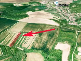 Prodej sadu/vinice, Nikolčice, 2568 m2