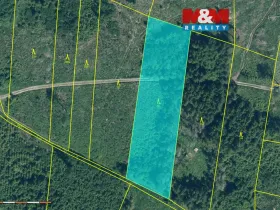 Prodej lesa, Kolinec - Buršice, 9917 m2