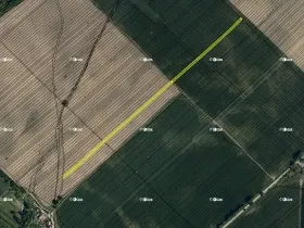 Prodej pole, Dubňany, 7051 m2