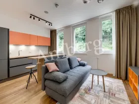 Pronájem bytu 1+kk, Praha - Vinohrady, Perucká, 26 m2