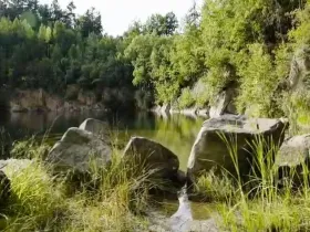 Prodej rybníku, Lipová, 80000 m2