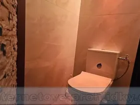 Pronájem bytu 2+kk, Praha - Vysočany, Za Klíčovem, 30 m2