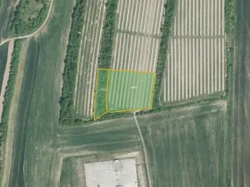 Prodej pole, Žarošice, 8639 m2