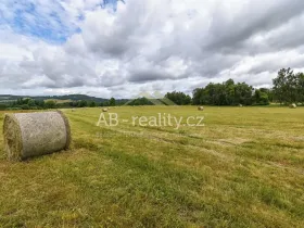 Prodej louky, Úštěk, 131865 m2