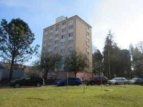 Prodej bytu 2+1, Písek, Dr. M. Horákové, 55 m2