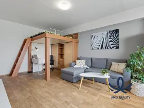 Pronájem bytu 1+1, Mladá Boleslav, Jana Palacha, 40 m2