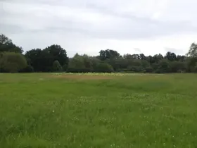 Dražba louky, Česká Lípa, 5581 m2