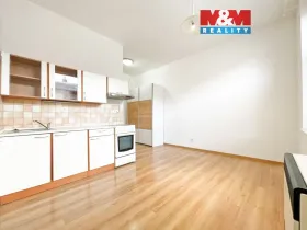 Pronájem bytu 1+kk, Hradec Králové - Kukleny, Pražská třída, 23 m2