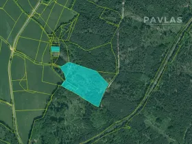 Prodej lesa, Hosín, 32334 m2