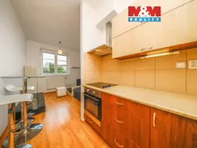 Pronájem bytu 1+kk, Plzeň - Jižní Předměstí, U Radbuzy, 29 m2