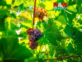 Prodej pole, Šardice, 56699 m2